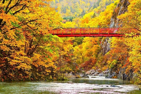 Khám Phá Sắc Vàng Hokkaido 6 Ngày 5 Đêm