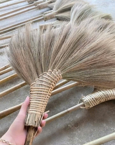 Chổi đót Đakrông - Quảng Trị