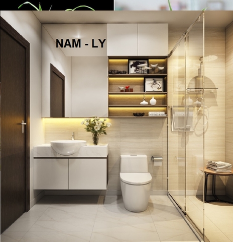 Nhà vệ sinh phạm Phương vị Nam - Cung Ly - Chữ Tín - Hao tài, tổn nhân, suy vận – Cảnh báo và cách hóa giải trong vận 9