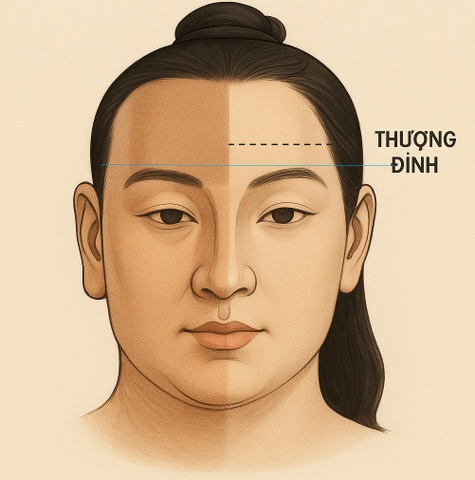 Tại sao Muốn xem trí cần phải coi xem Thượng đình của người đó ?