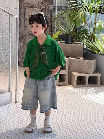 AN Polo Len Xanh Lá FS