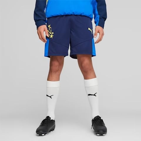Quần Puma Nam Chính Hãng - Neymar Jr Men's Football Shorts - Xanh | JapanSport 658508-01