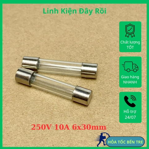 5 cái cầu chì ống thủy tinh 250V 10A kích thước 6x30mm