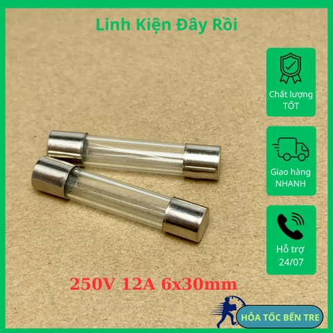 5 cái cầu chì ống thủy tinh 250V 12A kích thước 6x30mm