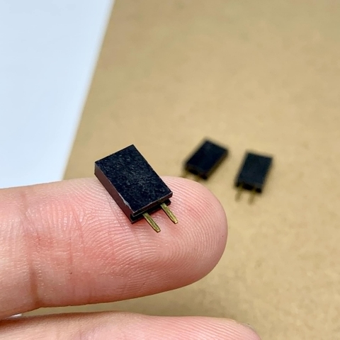 Đế cắm lượt cái đơn 2.54MM 2P 2 chân