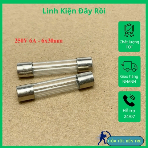 10 cái cầu chì ống thủy tinh 250V 6A kích thước 6x30mm