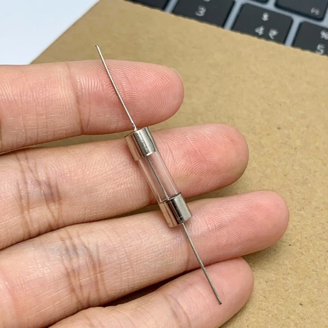 10 cái cầu chì ống thủy tinh 250V 10A chân cắm 5x20mm