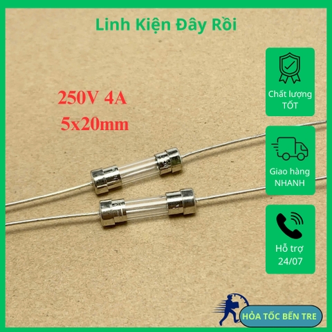 10 cái cầu chì ống thủy tinh 250V 4A chân cắm 5x20mm