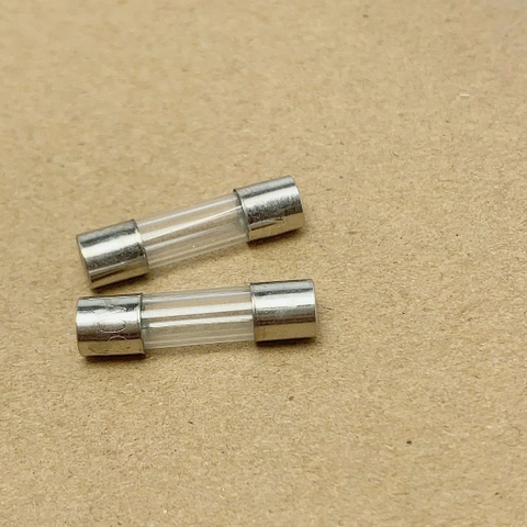 10 cái cầu chì ống thủy tinh 250V 6A kích thước 5x20mm