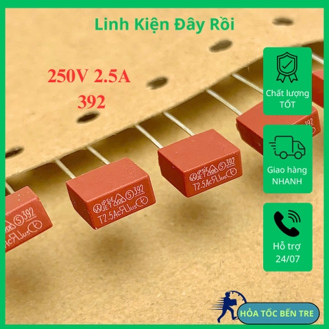 5 cái cầu chì thổi chậm 392 T2.5A 250V hình chữ nhật