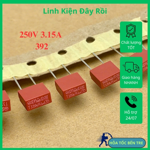 5 cái cầu chì thổi chậm 392 T3.15A 250V hình chữ nhật