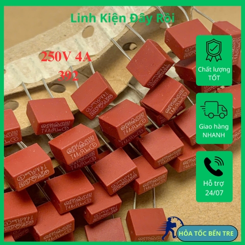 5 cái cầu chì thổi chậm 392 T4A 250V hình chữ nhật