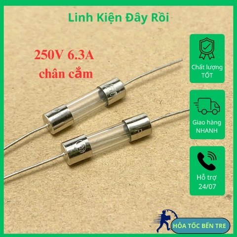 10 cái cầu chì ống thủy tinh 250V 1A 3.15A 4A 6.3A 8A 10A 15A chân cắm kích thước 5x20mm