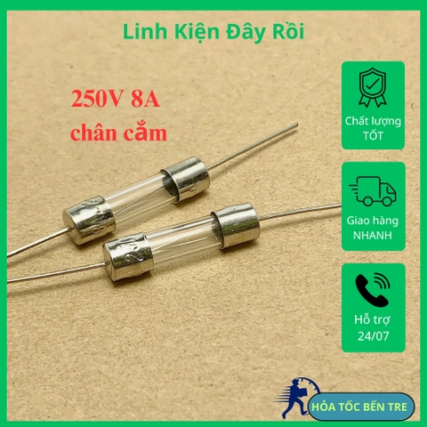 10 cái cầu chì ống thủy tinh 250V 1A 3.15A 4A 6.3A 8A 10A 15A chân cắm kích thước 5x20mm