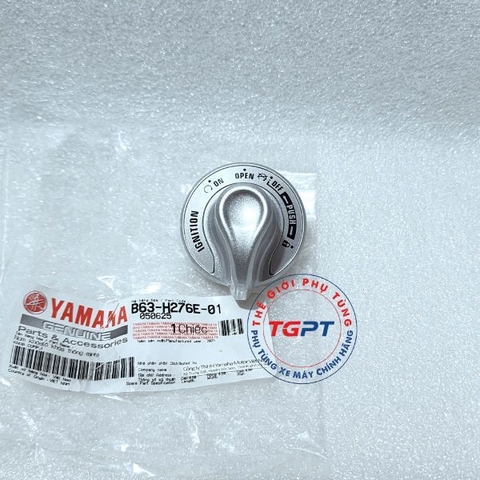 Núm khóa (ổ khóa thông minh), Núm khóa Smart key NVX, Janus /B63-H276E-01
