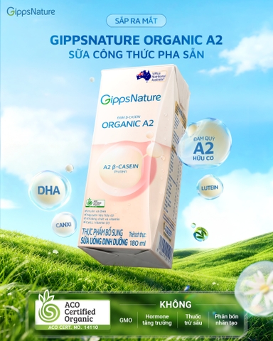 Hộp- SUDD GIPPSNATURE ORGANIC A2 H110MLX24