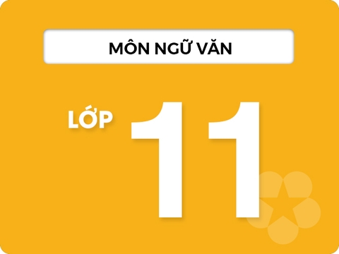 Môn Ngữ Văn Lớp 11