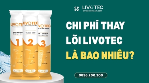 Chi Phí Thay Lõi Livotec Định Kỳ Bao Nhiêu Một Năm? Cách Dự Trù