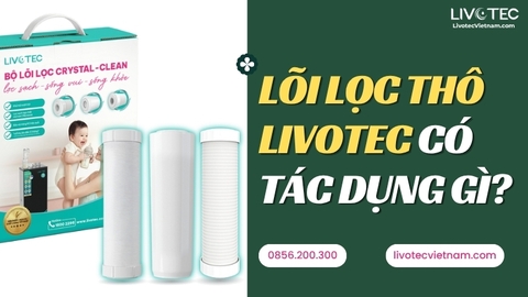 Lõi Lọc Thô Livotec Có Tác Dụng Gì? Vì Sao Cần Thay Đúng Hạn?