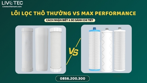 Lõi Thường Và Lõi Max Performance Livotec Khác Gì? So Sánh Chi Tiết
