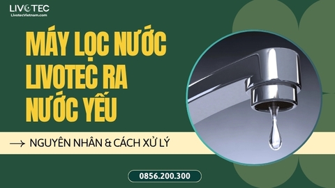 Máy Lọc Nước Livotec Ra Nước Yếu: Lõi Thô Hay Màng RO Đang Tắc?