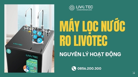 Máy Lọc Nước RO Livotec Hoạt Động Với Nguyên Lý Ra Sao?