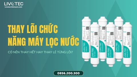 Thay Lõi Chức Năng Máy Lọc Nước Livotec: Có Cần Thay Cả Combo Cùng Lúc?