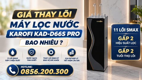 Giá Thay Lõi Máy Lọc Nước Karofi KAD-D66S Pro Bao Nhiêu?