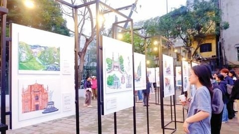 Khi người trẻ “chuyển ngữ” văn hóa Việt