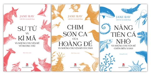 Combo Truyện của tác giả Jane Ray (3 cuốn)