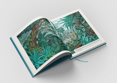 Yersin - Khúc hát Cá Ông