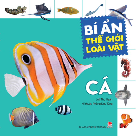 Combo Bí ẩn thế giới loài vật (6 cuốn)