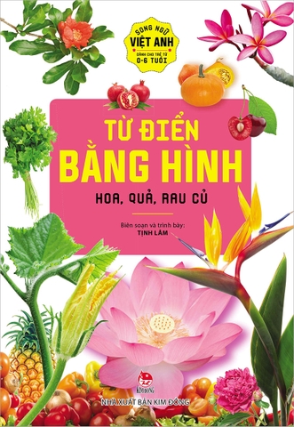 Combo Từ điển bằng hình - Song ngữ Việt - Anh (2 cuốn)