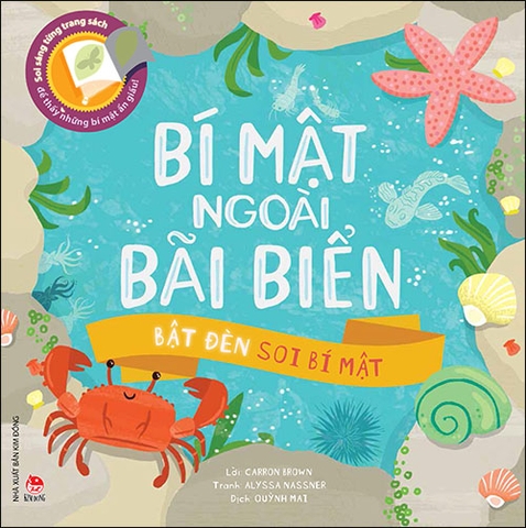 Bật đèn soi bí mật - Bí mật ngoài bãi biển