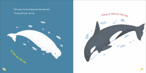 Kích thích trí tưởng tượng cho bé - Cá Voi trông như thế nào?