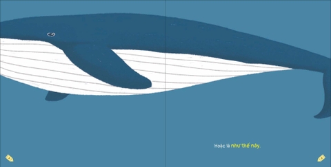 Kích thích trí tưởng tượng cho bé - Cá Voi trông như thế nào?