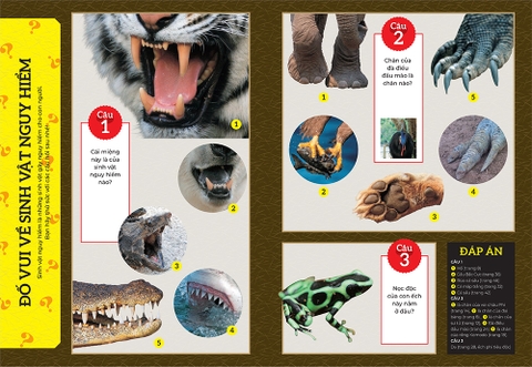 Bồi dưỡng kĩ năng đọc hiểu cho học sinh tiểu học - Các sinh vật nguy hiểm