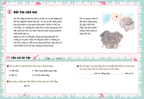 Bồi dưỡng kĩ năng đọc hiểu cho học sinh tiểu học - Chuyện thú vị về loài vật