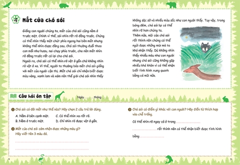 Bồi dưỡng kĩ năng đọc hiểu cho học sinh tiểu học - Chuyện thú vị về loài vật