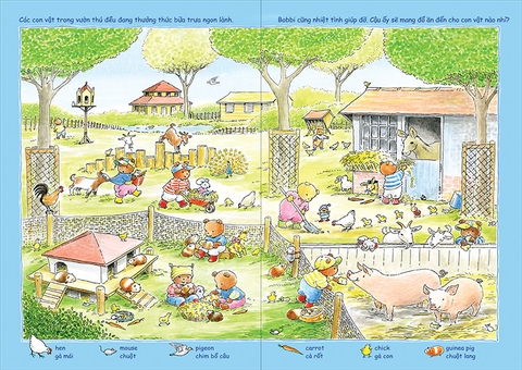 Gấu Bobbi chơi tìm hình