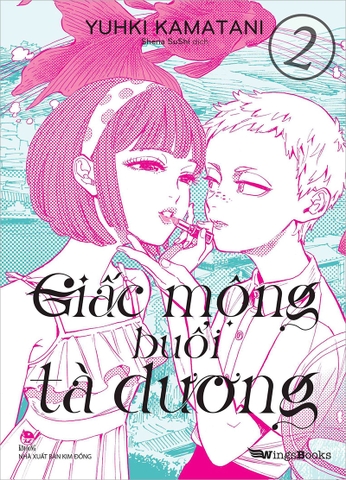 Combo - 2 Boxset Giấc mộng buổi tà dương (4 tập)