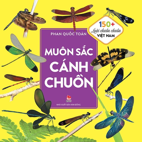Muôn sắc cánh chuồn - 150+ loài chuồn chuồn Việt Nam