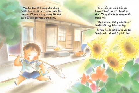 Ngày hè chói nắng