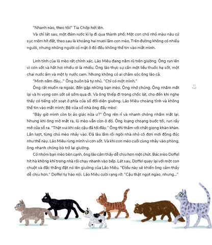 Ông lão nói chuyện với mèo và các câu chuyện nhỏ