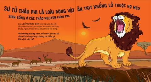 Thế giới động vật - Sư tử biết chơi trốn tìm không ?