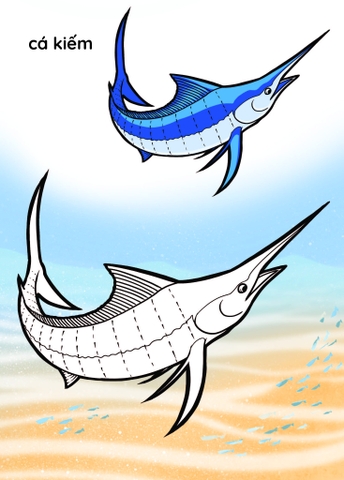 Nào mình cùng tô màu nhé ! - Đại dương