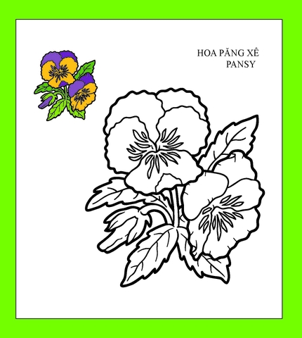Họa sĩ nhí tô màu - Hoa