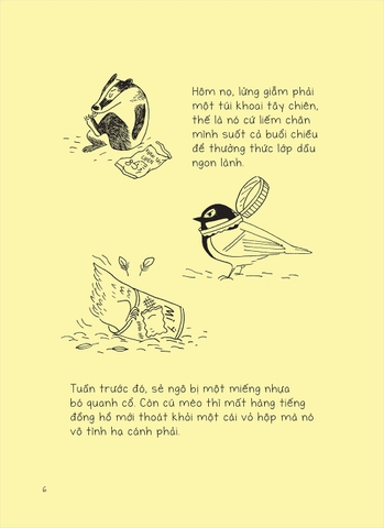 Gấu Bon - Đại ngàn rộn ràng