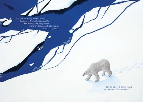 Gấu mẹ cứu con