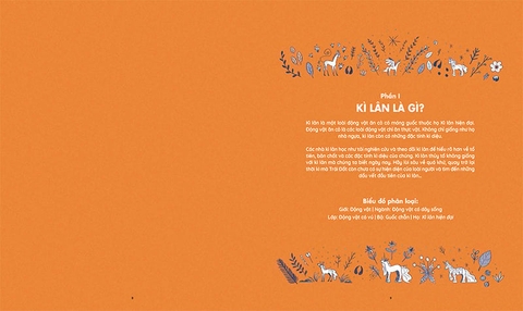 Những sinh vật huyền thoại - Thế giới bí ẩn của kì lân